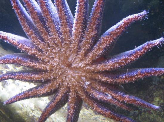 Breazeale Interpretive Center